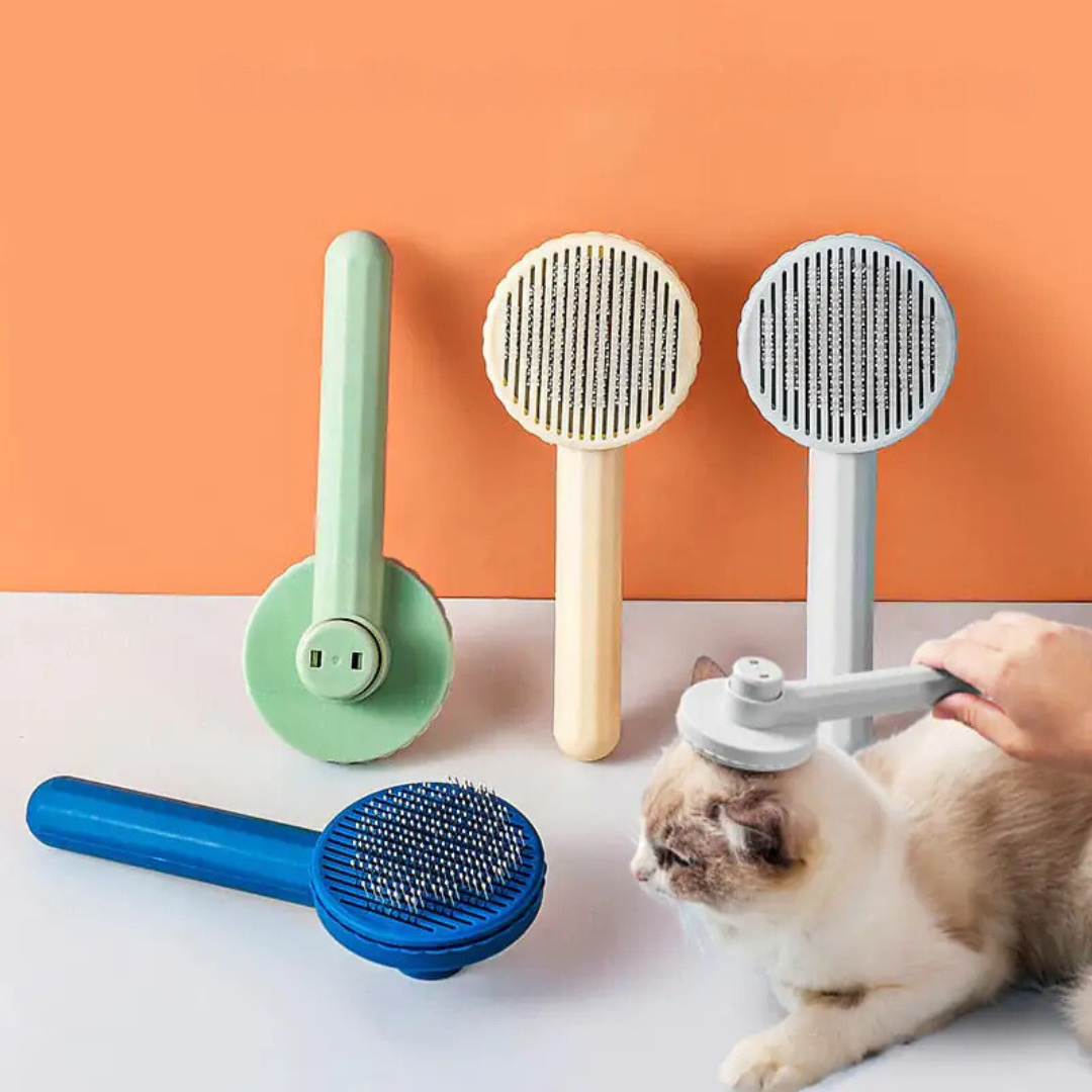 Cat Brush Pet Comb