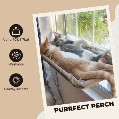 PURRFECT PERCH - CAT WINDOW HAMMOCK